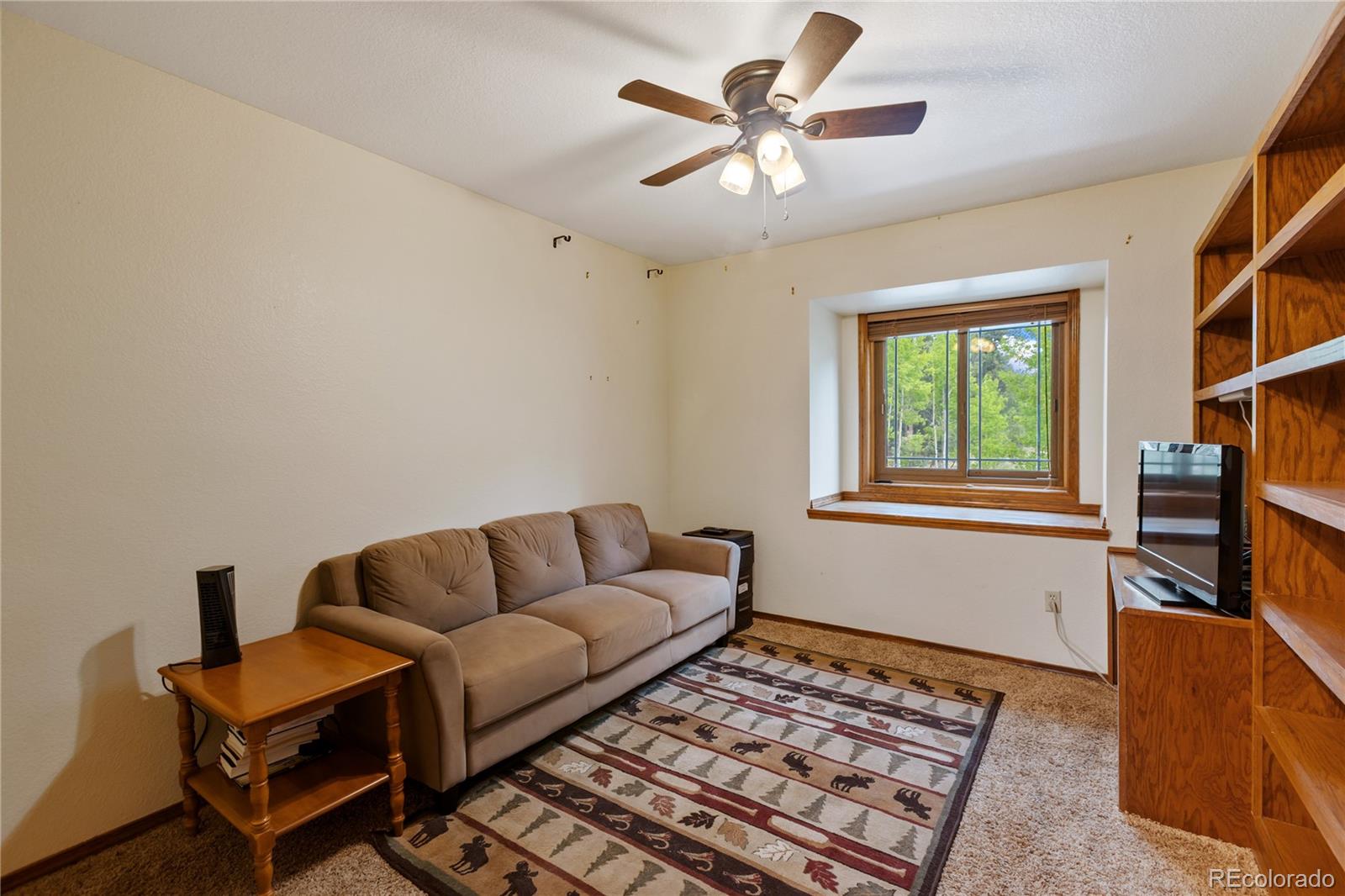 MLS Image #15 for 1231  telemark drive,woodland park, Colorado