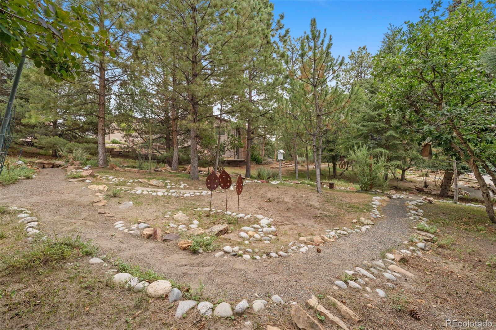 MLS Image #6 for 6174  pine hollow drive,parker, Colorado