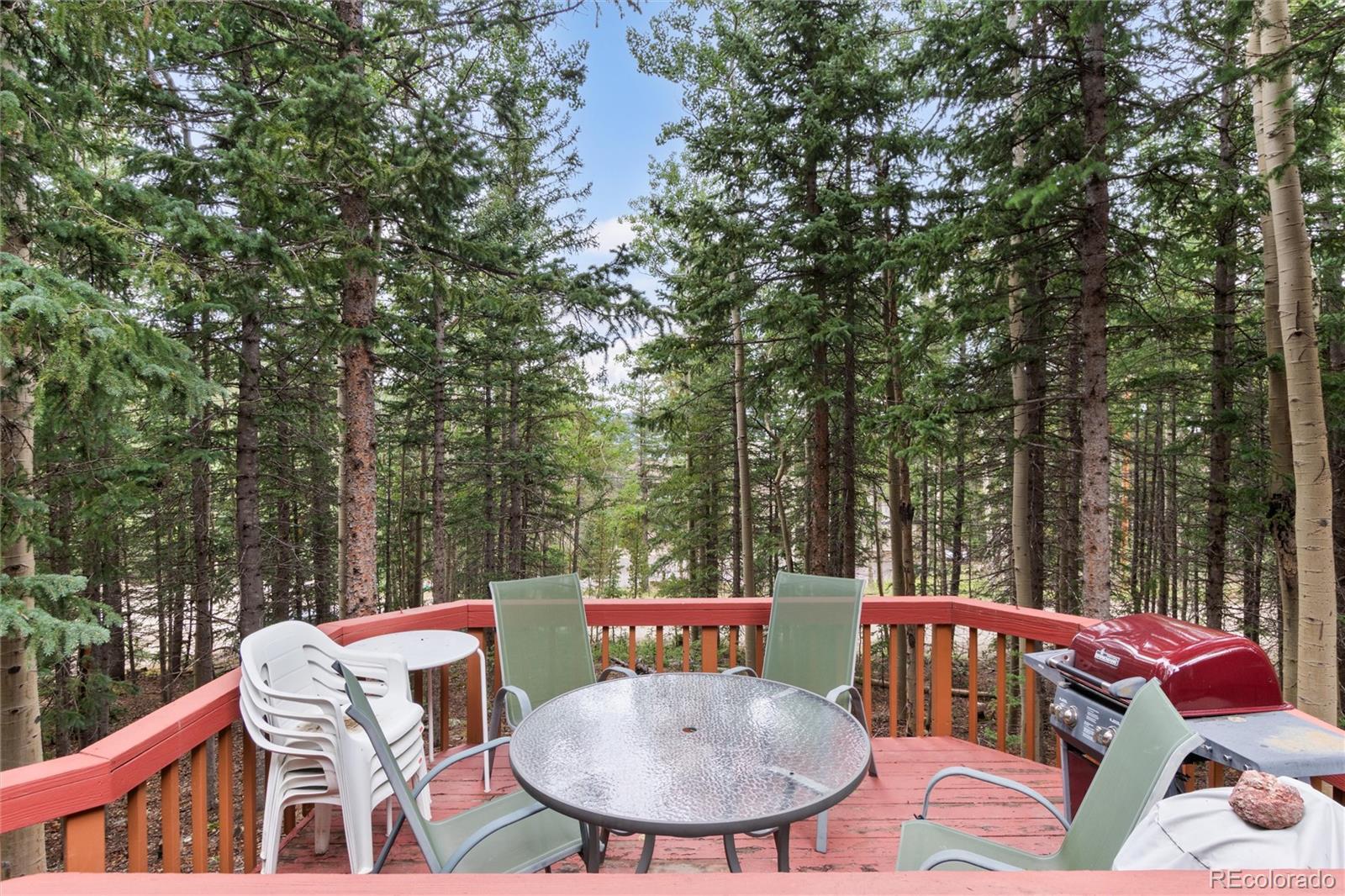 MLS Image #12 for 31  aspen loop road,idaho springs, Colorado