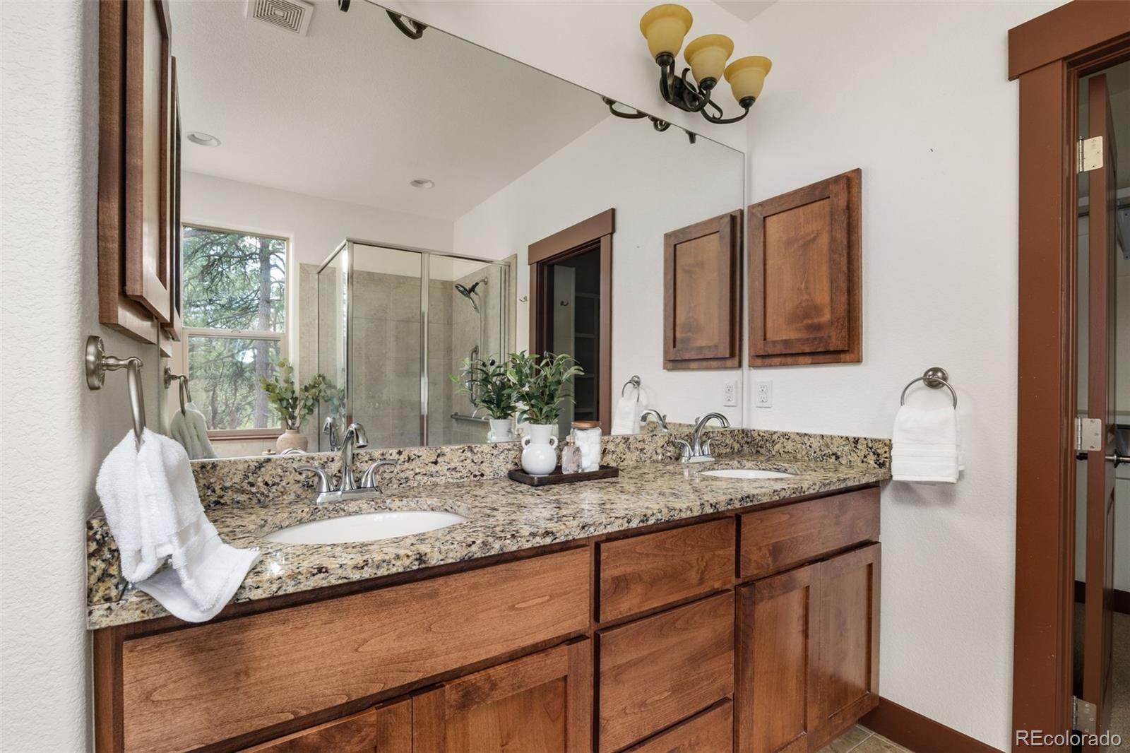 MLS Image #17 for 6450  mohave trail,evergreen, Colorado