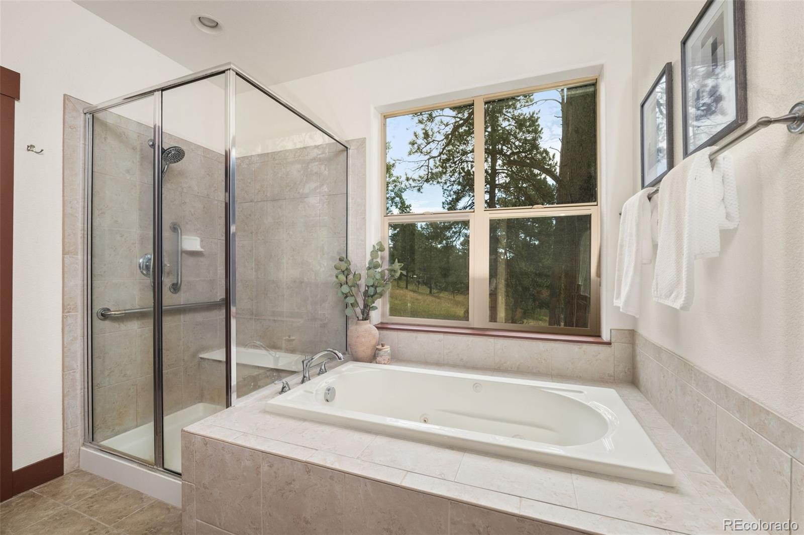 MLS Image #19 for 6450  mohave trail,evergreen, Colorado