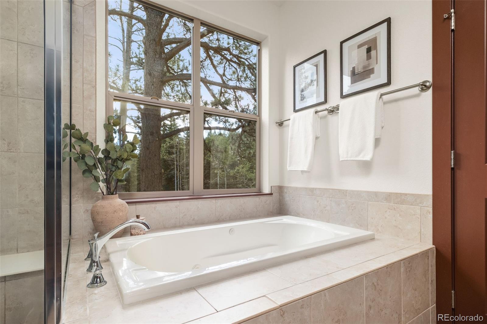 MLS Image #21 for 6450  mohave trail,evergreen, Colorado