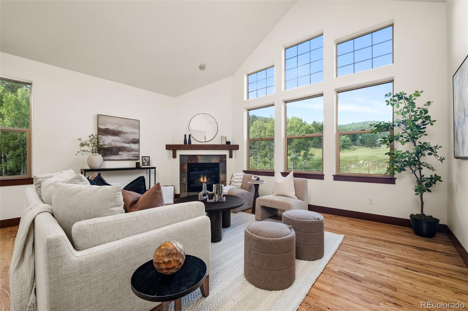 MLS Image #3 for 6450  mohave trail,evergreen, Colorado