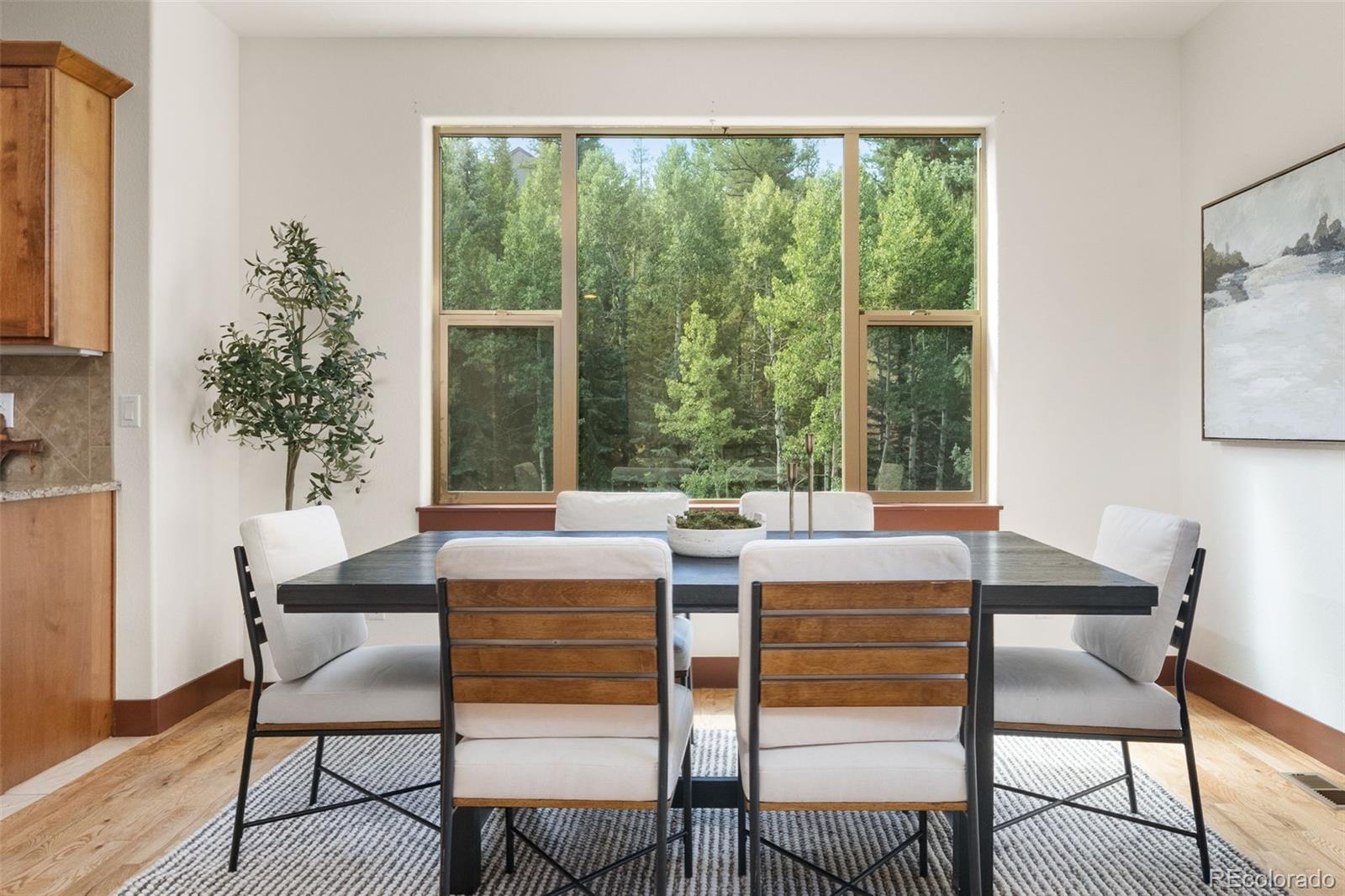 MLS Image #6 for 6450  mohave trail,evergreen, Colorado