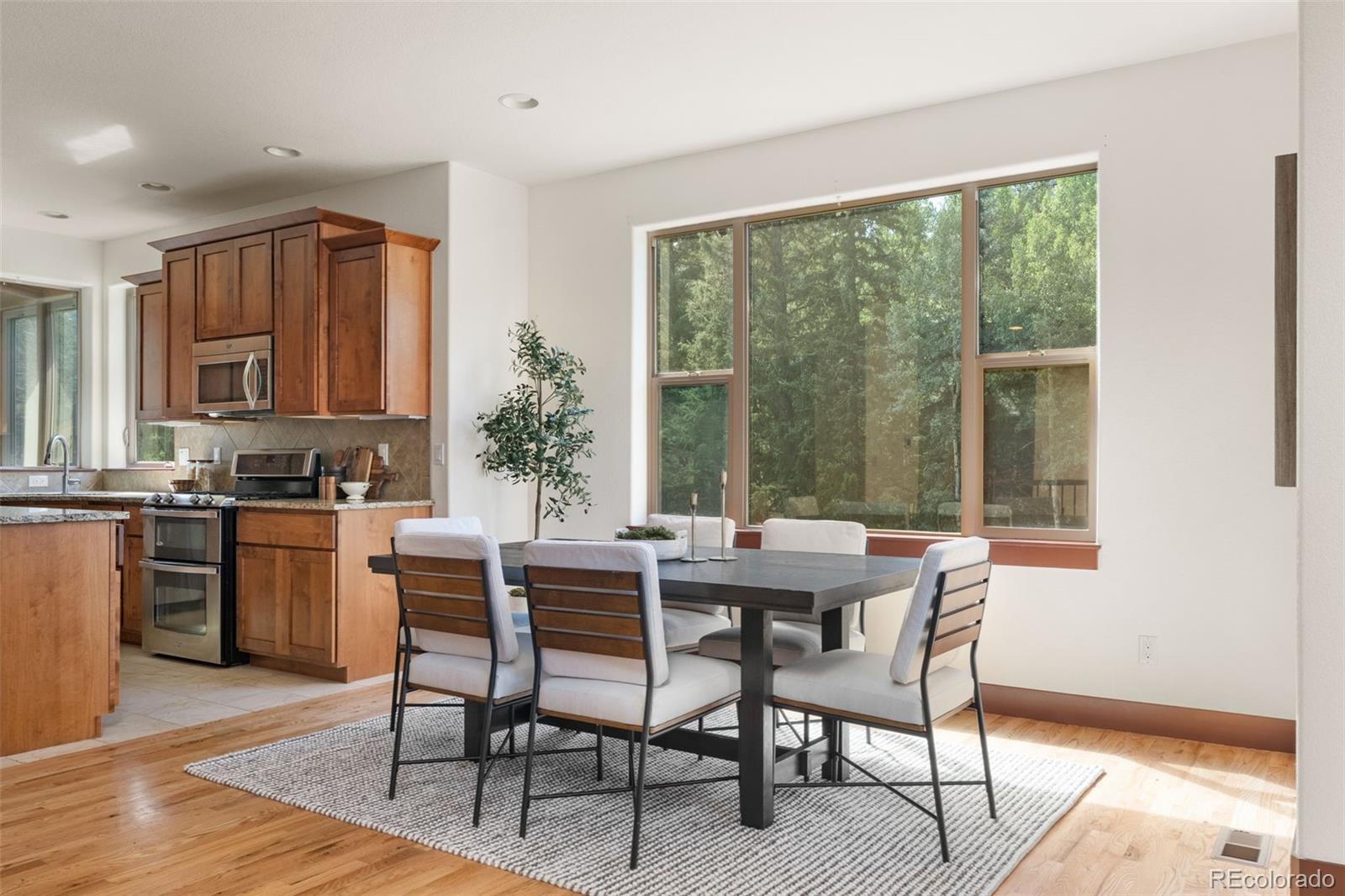 MLS Image #8 for 6450  mohave trail,evergreen, Colorado