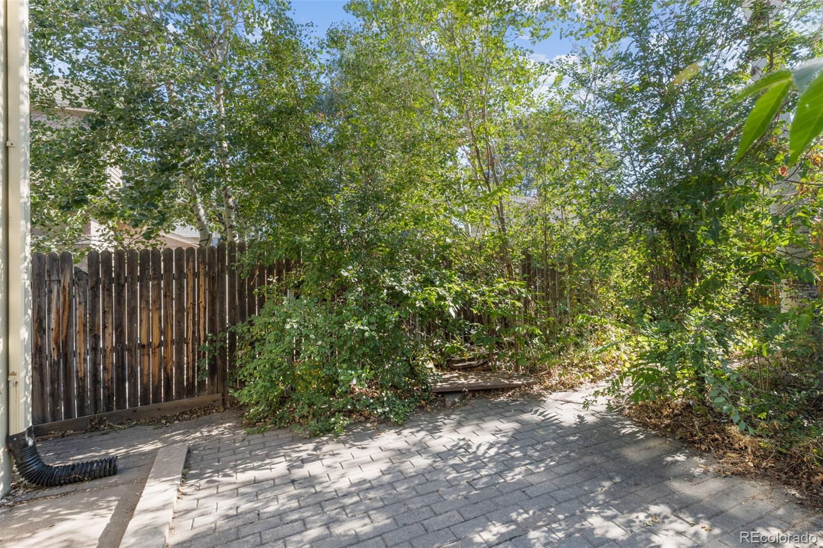 MLS Image #10 for 2218 n humboldt street,denver, Colorado