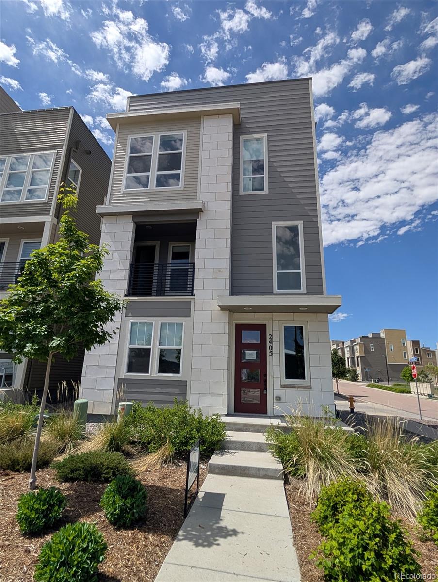 MLS Image #11 for 2405  fiji drive,castle rock, Colorado