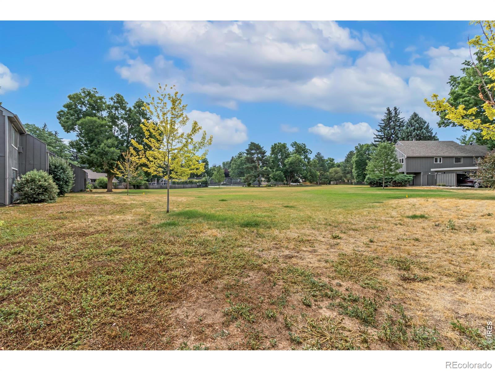 MLS Image #10 for 801 e drake road,fort collins, Colorado