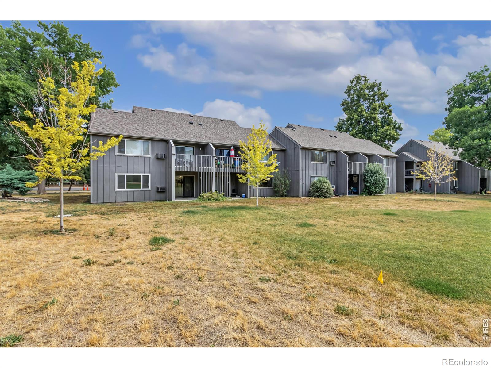 MLS Image #11 for 801 e drake road,fort collins, Colorado
