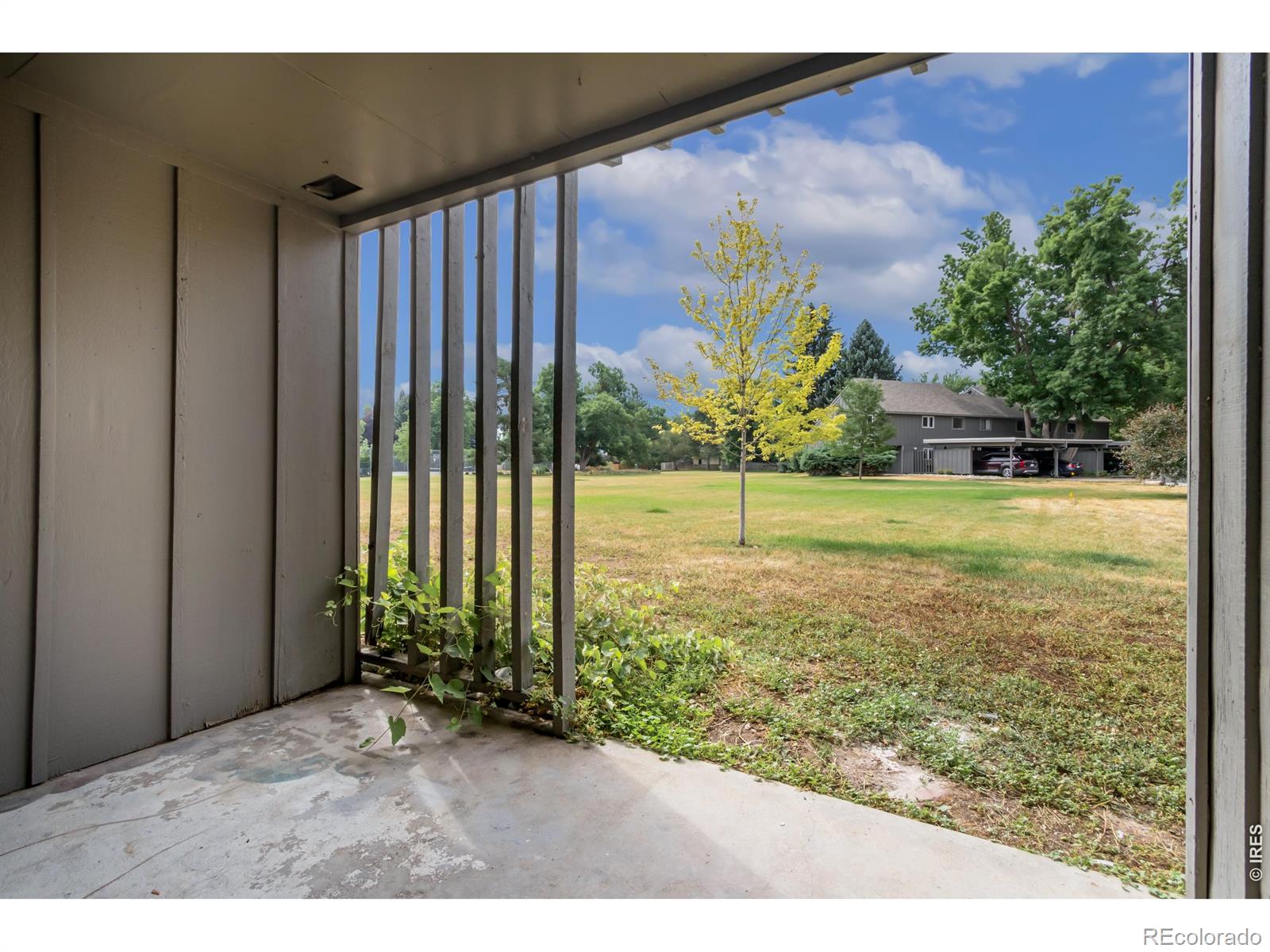 MLS Image #9 for 801 e drake road,fort collins, Colorado