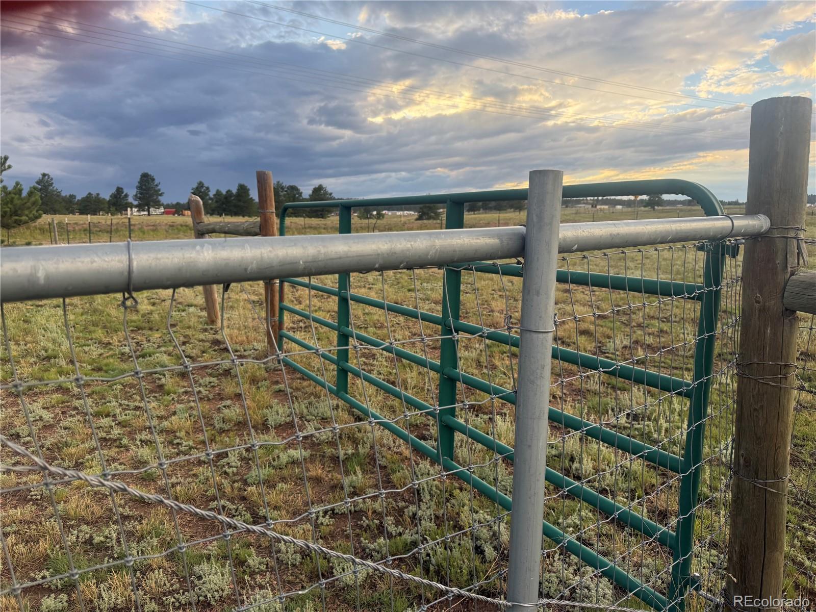MLS Image #5 for 17  garfield circle,florissant, Colorado