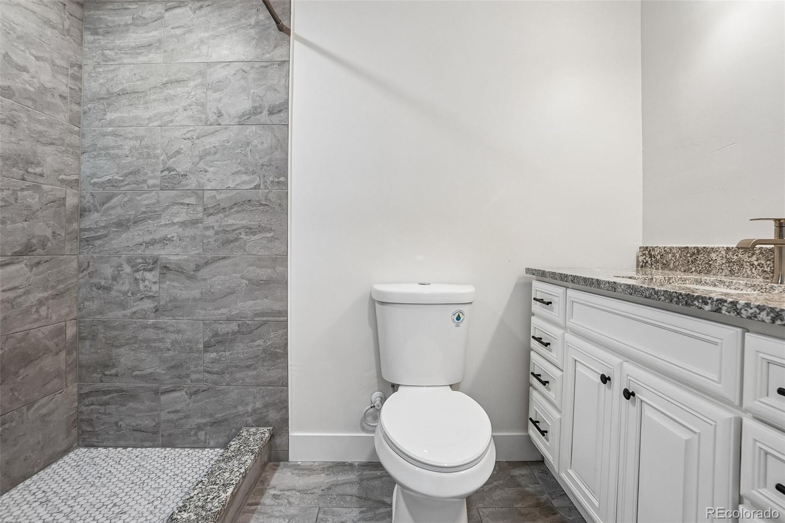 MLS Image #17 for 4561  nepal street,denver, Colorado