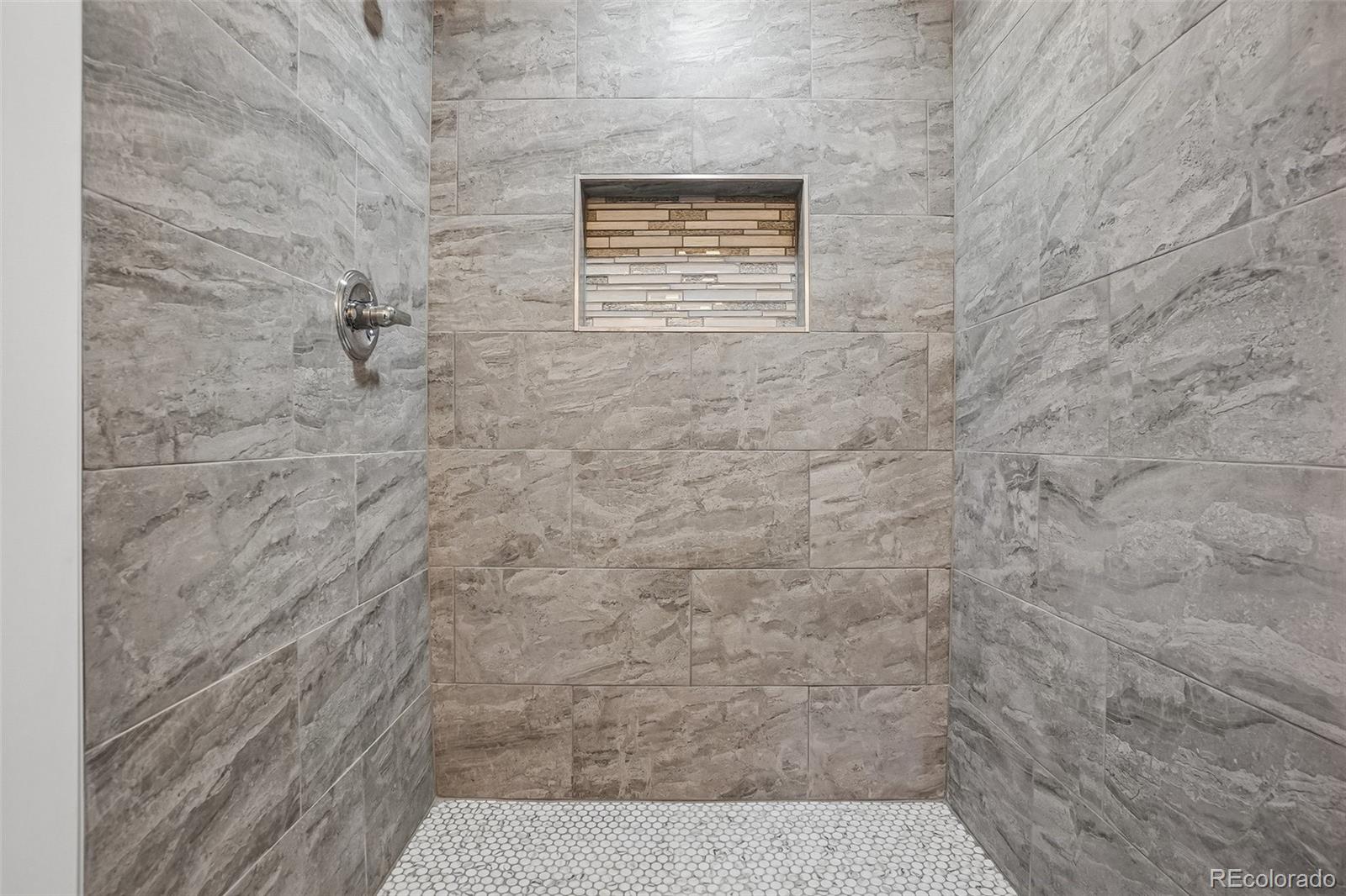 MLS Image #19 for 4561  nepal street,denver, Colorado
