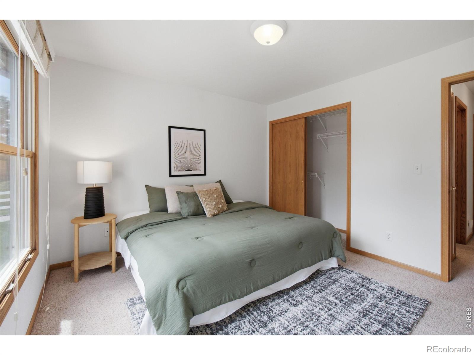 MLS Image #17 for 3926  ridgeway court,fort collins, Colorado