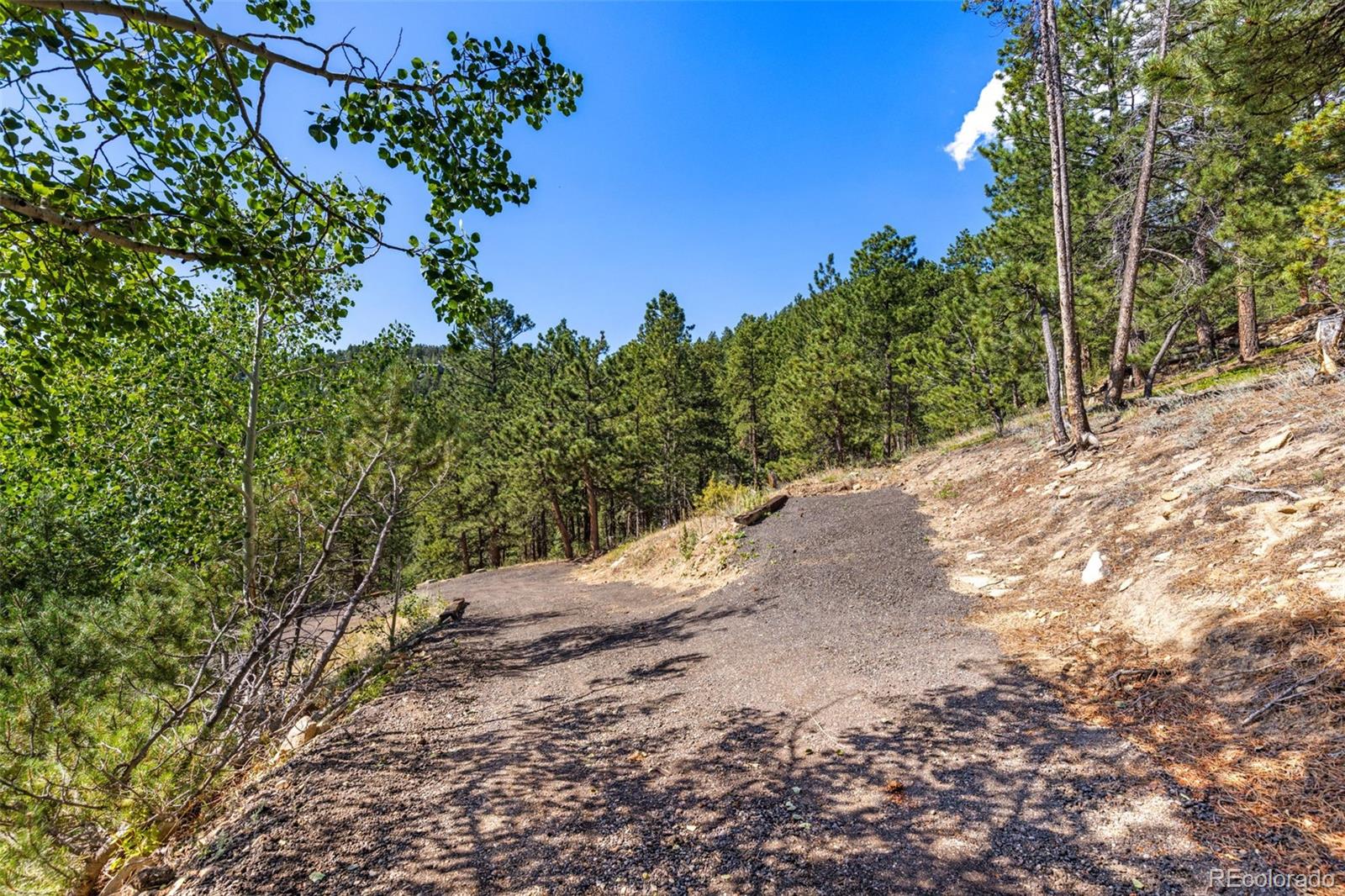 MLS Image #7 for 11682  beauty lane,golden, Colorado