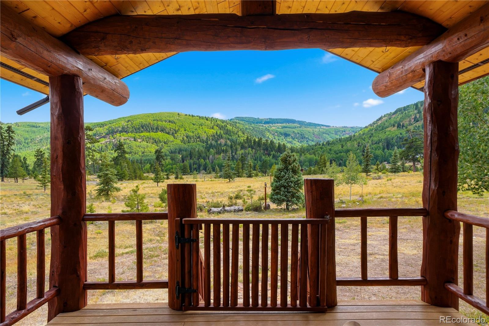 MLS Image #1 for 637  river run drive,antonito, Colorado