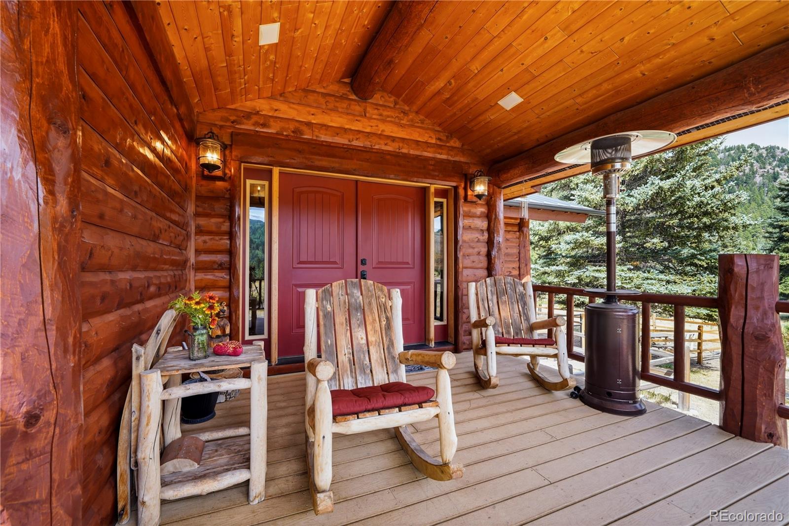 MLS Image #2 for 637  river run drive,antonito, Colorado
