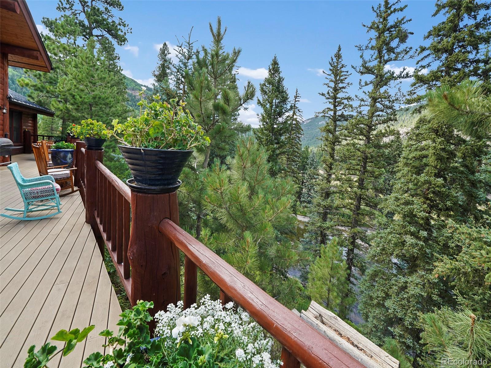 MLS Image #21 for 637  river run drive,antonito, Colorado