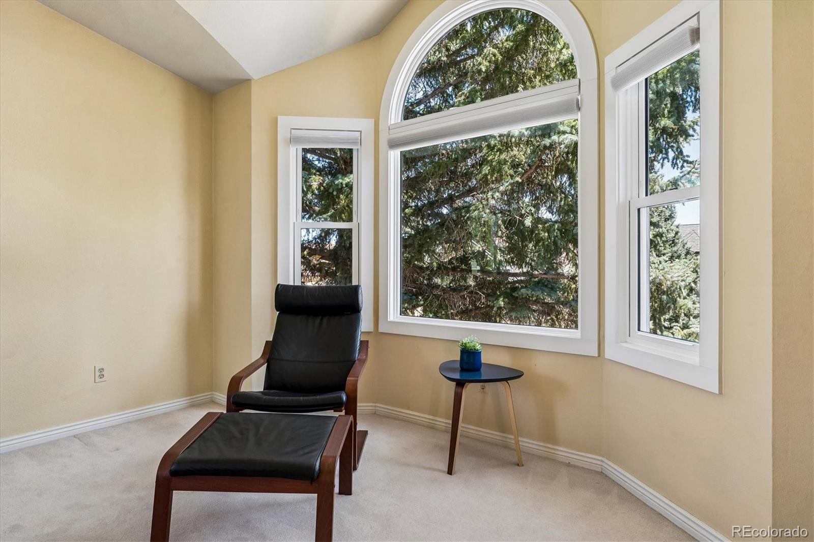 MLS Image #18 for 9  red locust ,littleton, Colorado