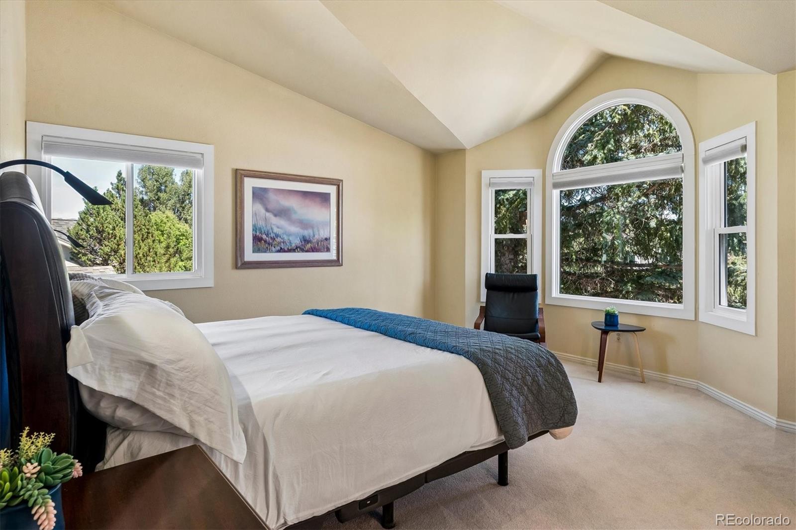 MLS Image #19 for 9  red locust ,littleton, Colorado