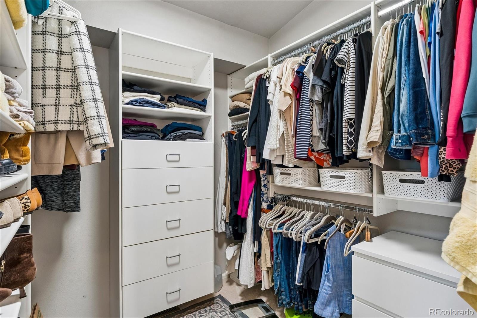 MLS Image #26 for 9  red locust ,littleton, Colorado