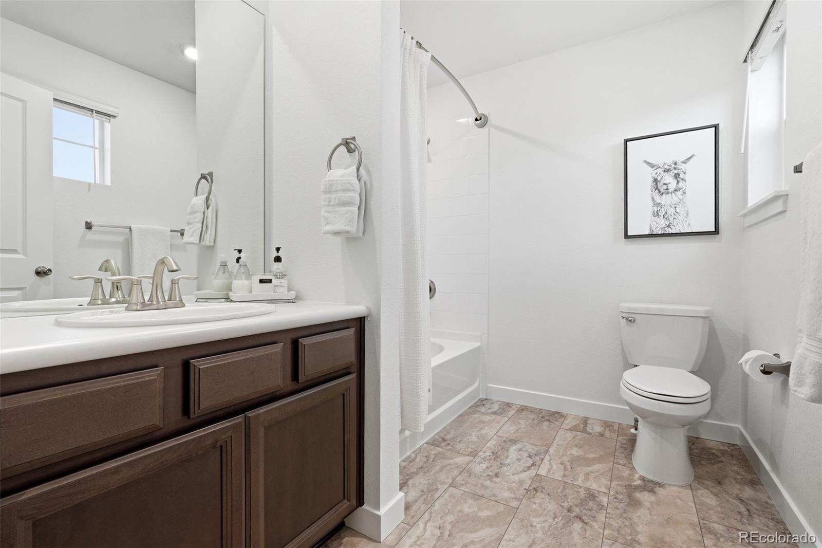 MLS Image #20 for 847  rosevine lane,erie, Colorado