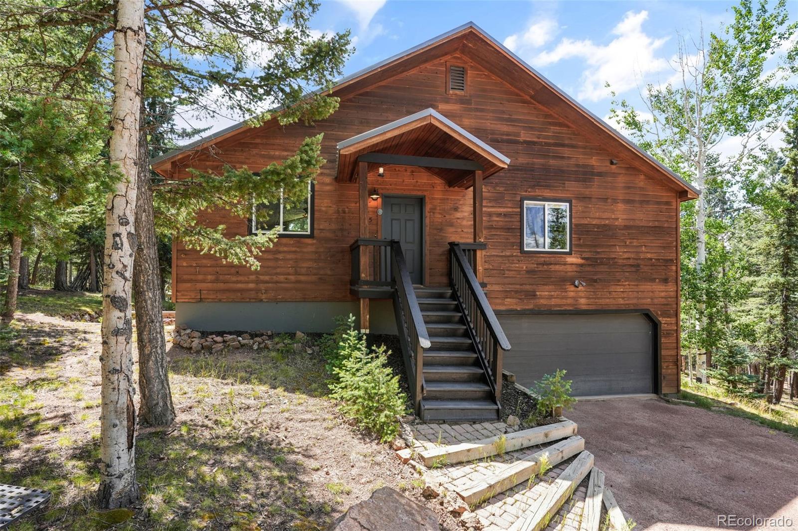 MLS Image #0 for 145  grizzley peak road,florissant, Colorado