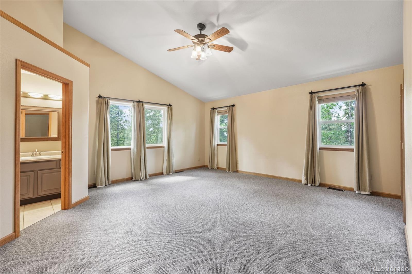MLS Image #12 for 145  grizzley peak road,florissant, Colorado