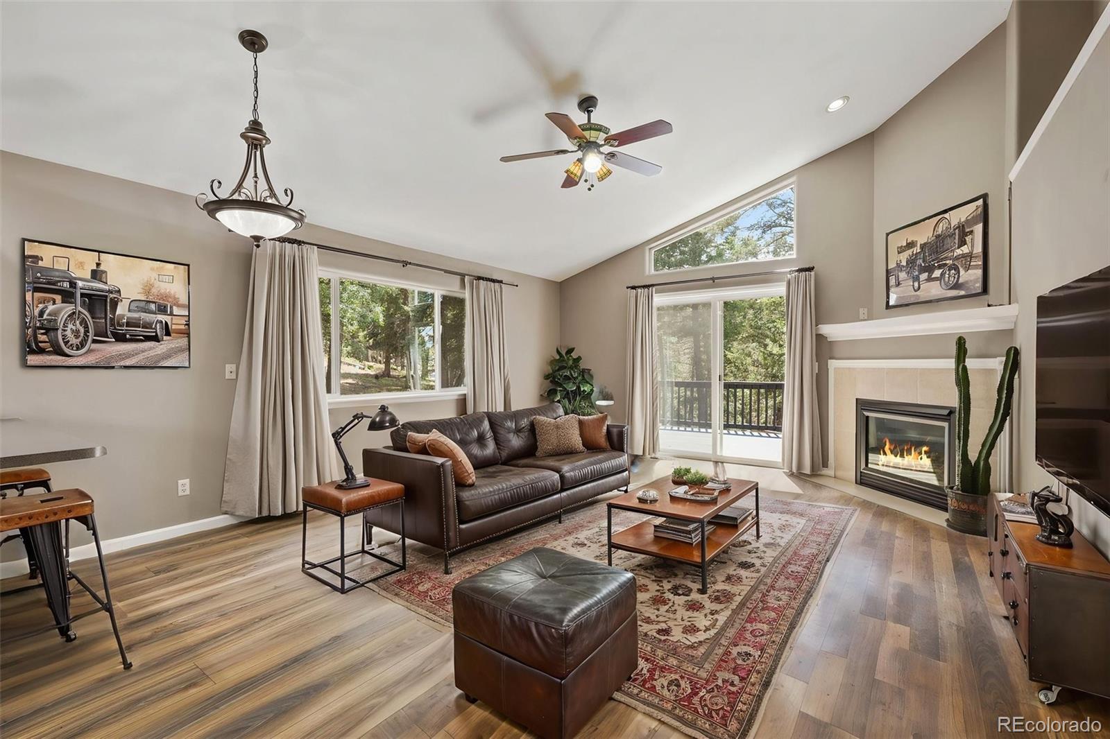 MLS Image #3 for 145  grizzley peak road,florissant, Colorado