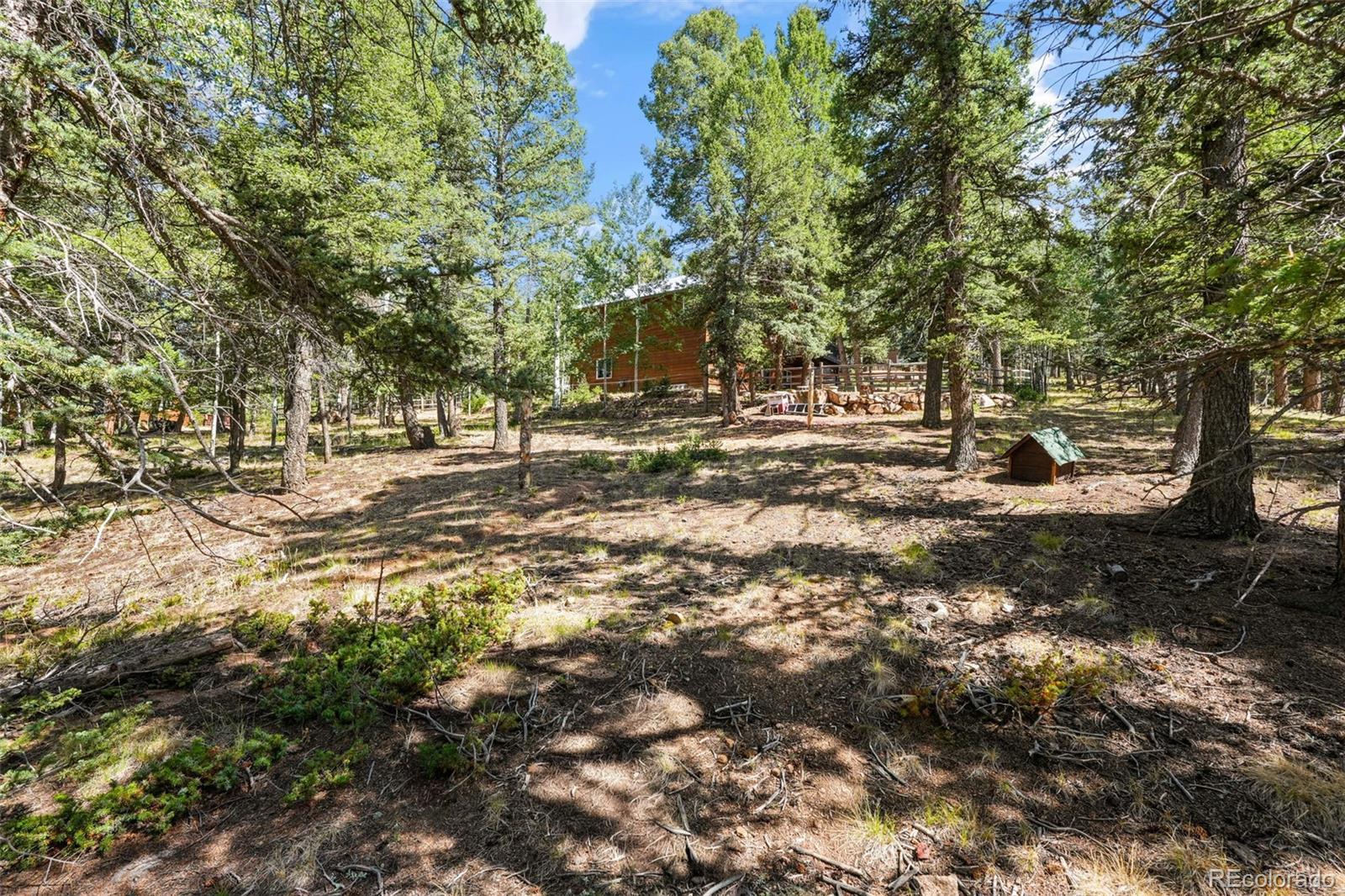 MLS Image #40 for 145  grizzley peak road,florissant, Colorado
