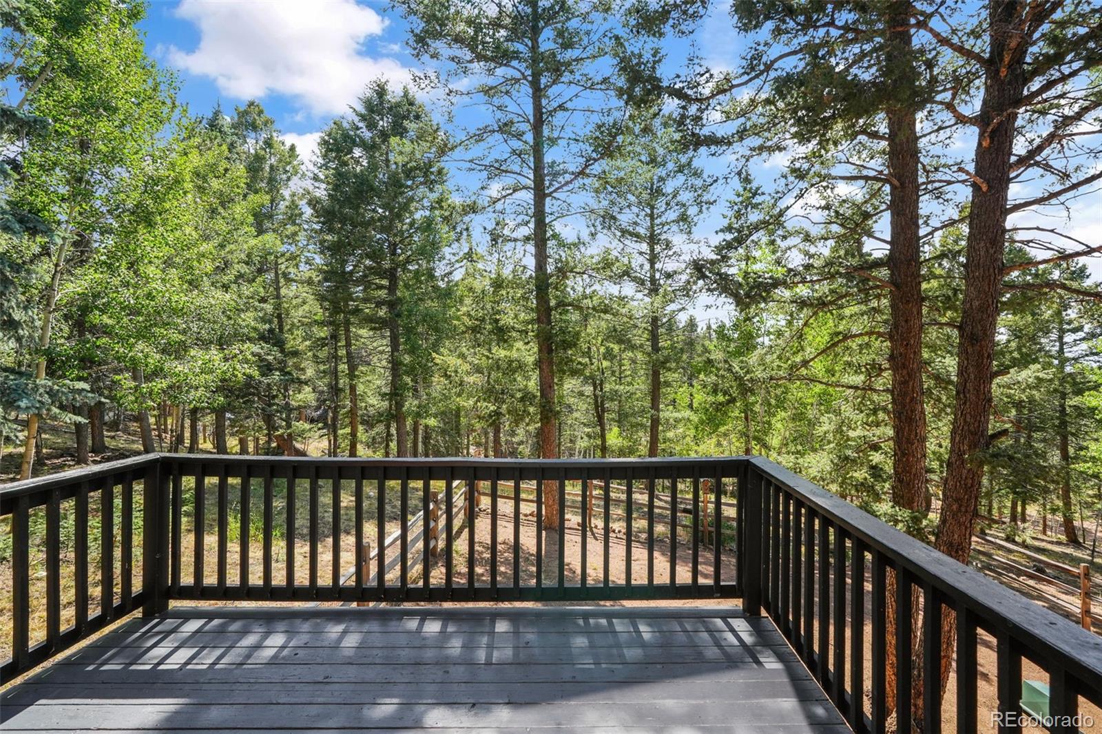 MLS Image #43 for 145  grizzley peak road,florissant, Colorado