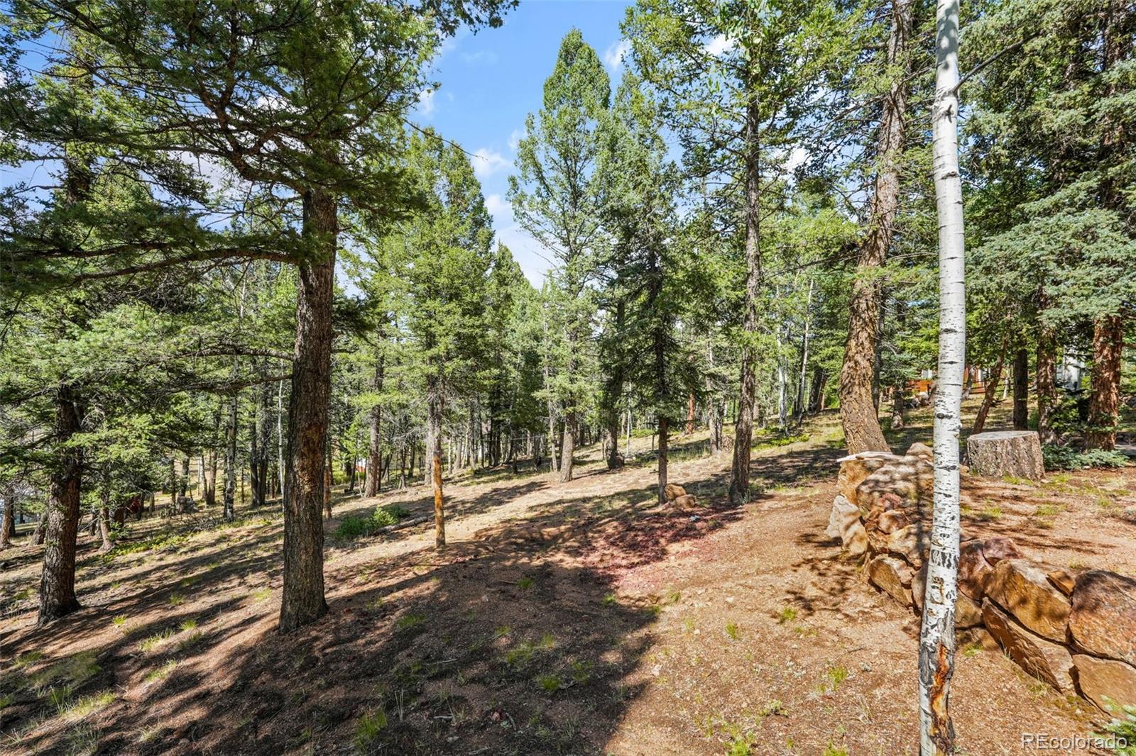 MLS Image #47 for 145  grizzley peak road,florissant, Colorado