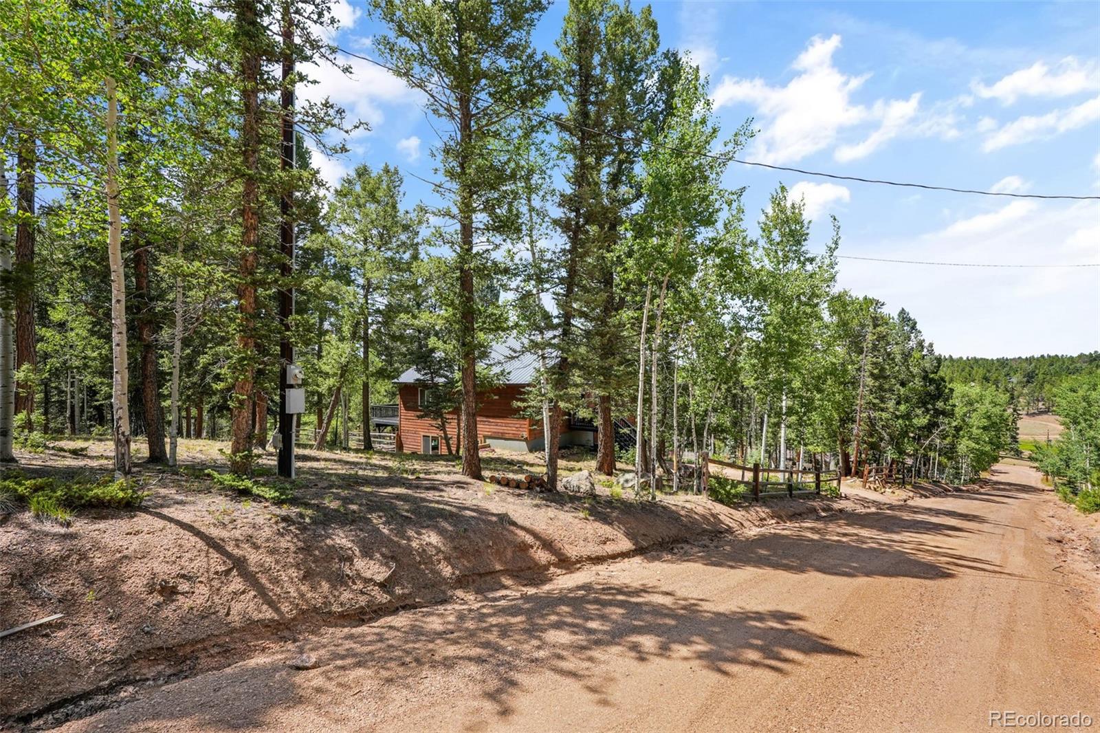 MLS Image #48 for 145  grizzley peak road,florissant, Colorado