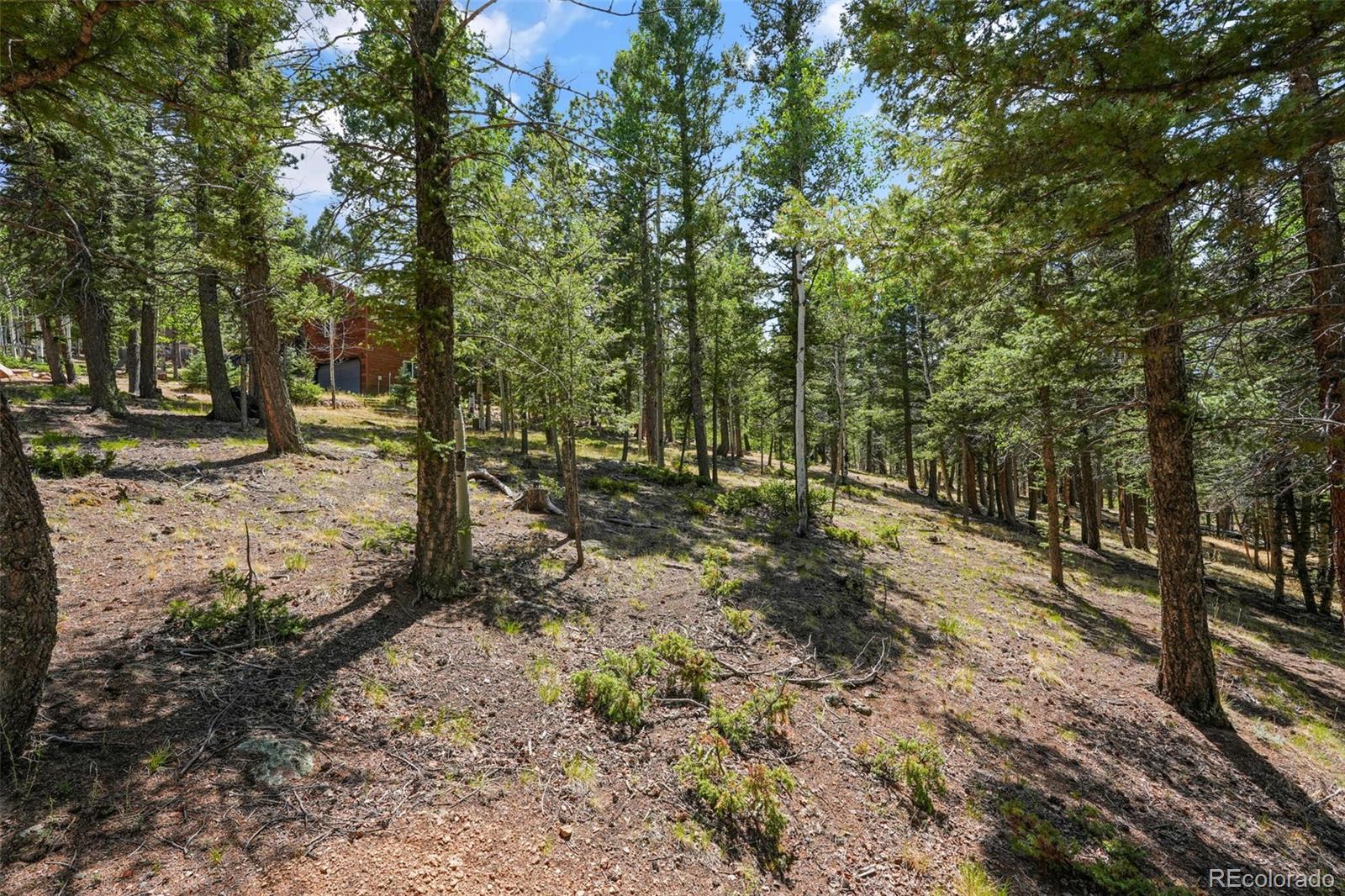 MLS Image #49 for 145  grizzley peak road,florissant, Colorado