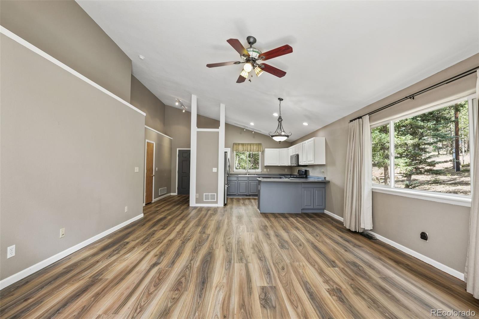 MLS Image #6 for 145  grizzley peak road,florissant, Colorado