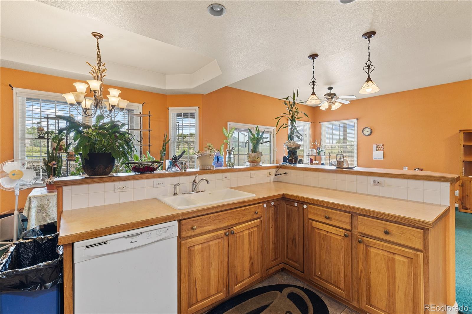 MLS Image #12 for 216  beth avenue,fort lupton, Colorado