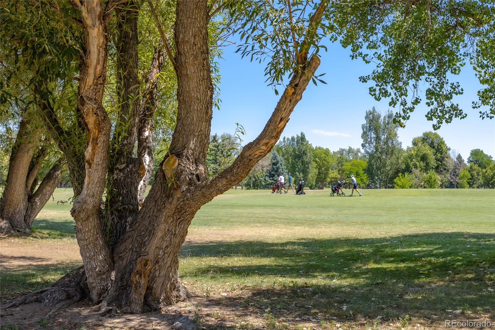 MLS Image #17 for 13833 e lehigh avenue d,aurora, Colorado