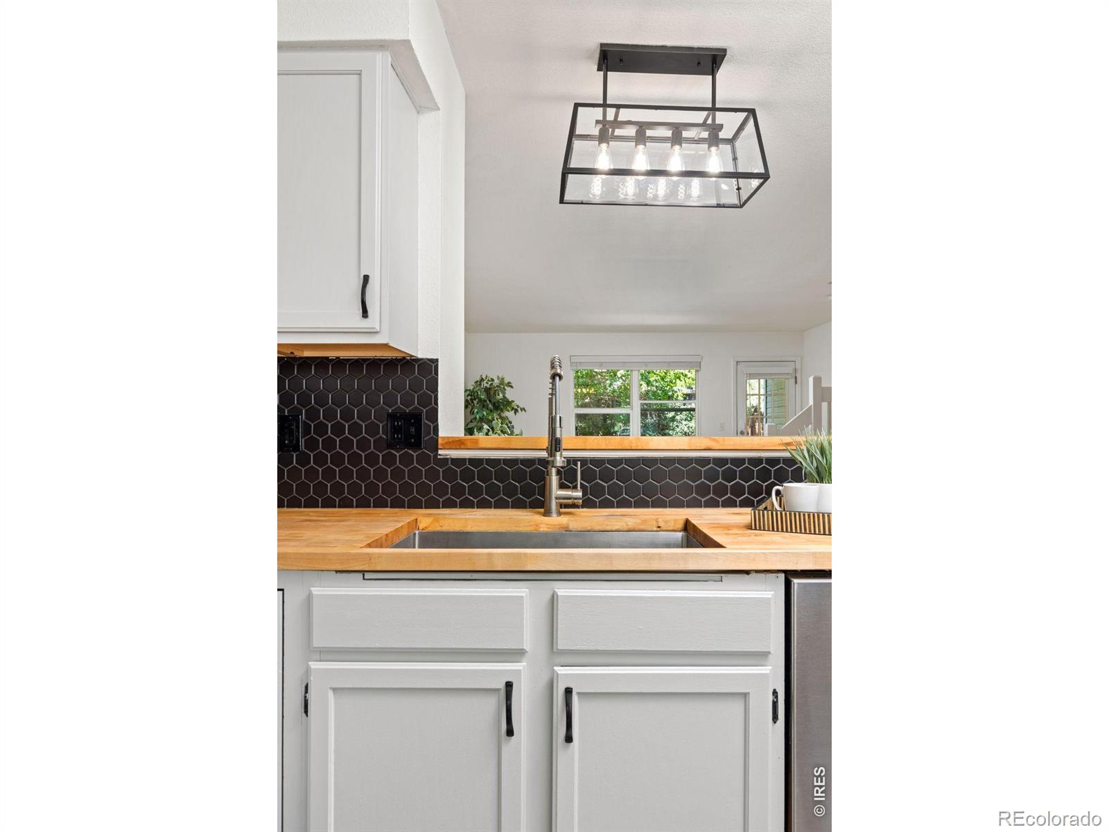 MLS Image #12 for 187  pheasant run,louisville, Colorado