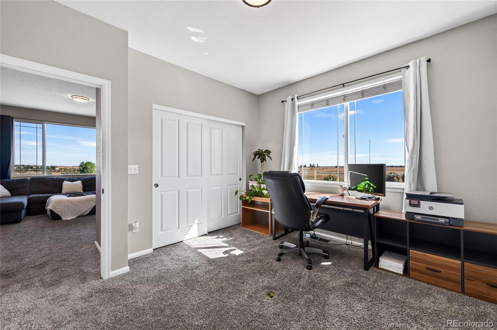 MLS Image #12 for 337  peabody street,castle rock, Colorado