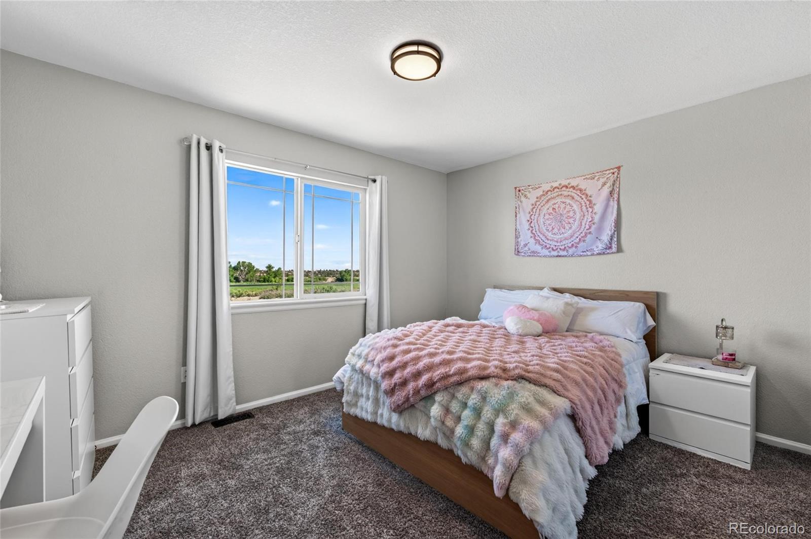 MLS Image #19 for 337  peabody street,castle rock, Colorado