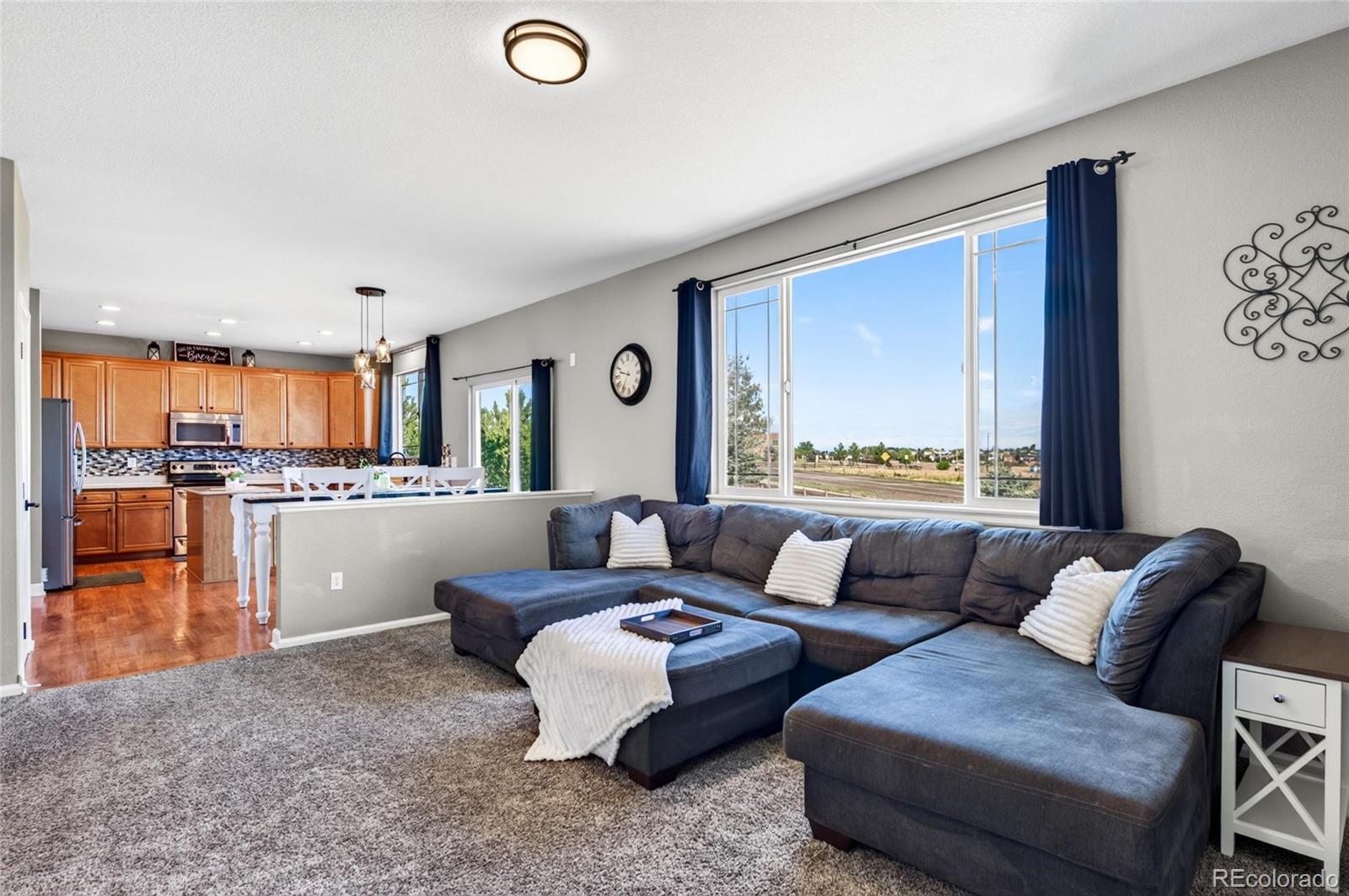 MLS Image #8 for 337  peabody street,castle rock, Colorado