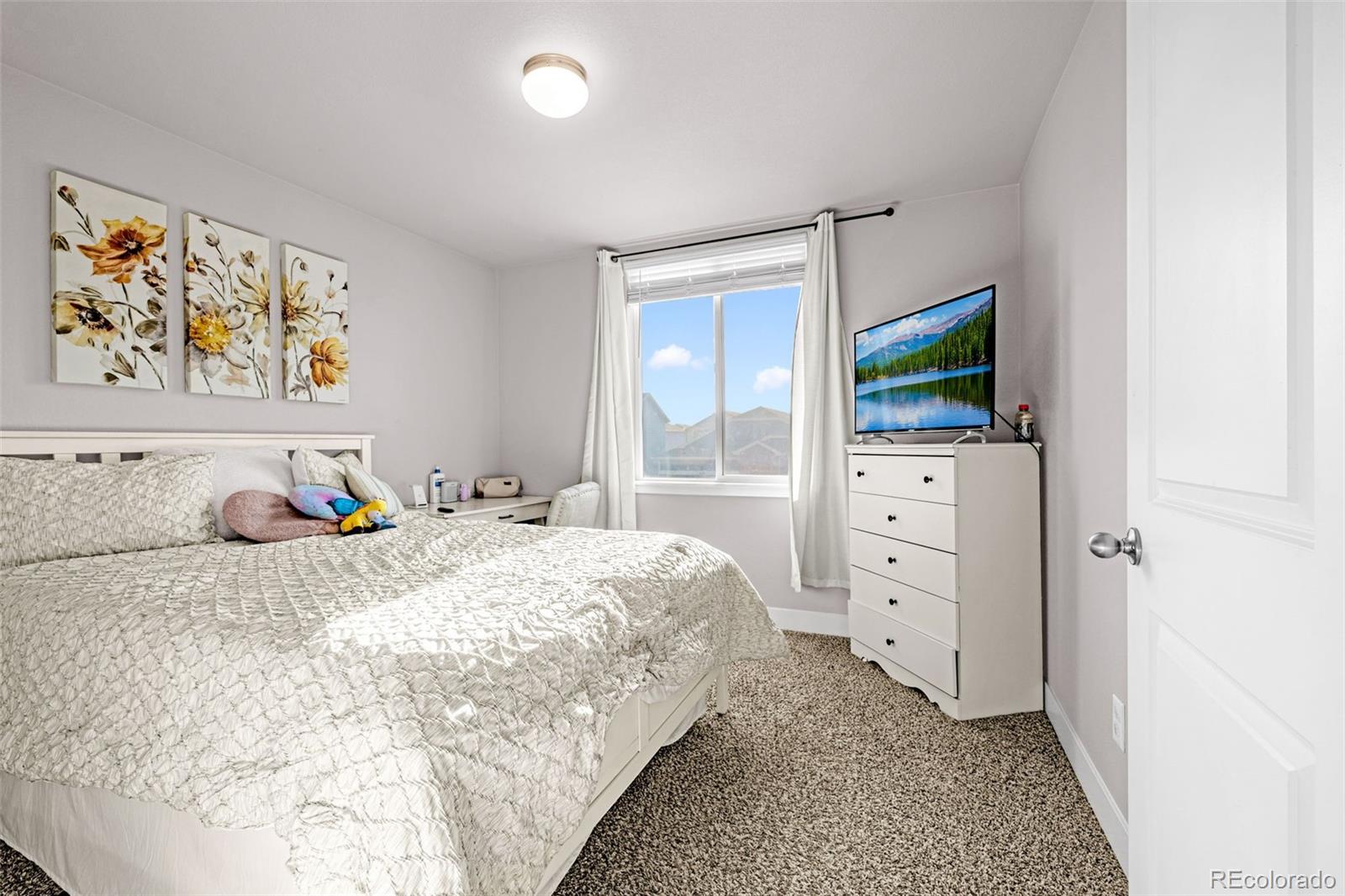 MLS Image #29 for 3014  loot drive,colorado springs, Colorado