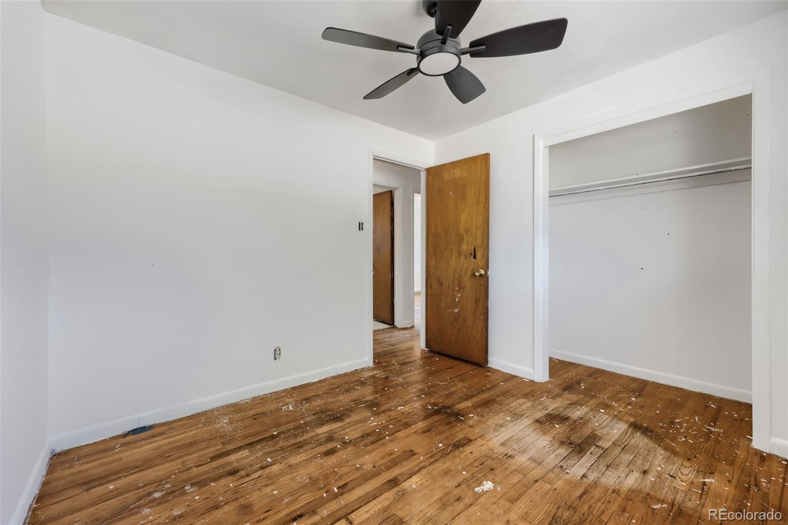 MLS Image #10 for 116  ash avenue,castle rock, Colorado