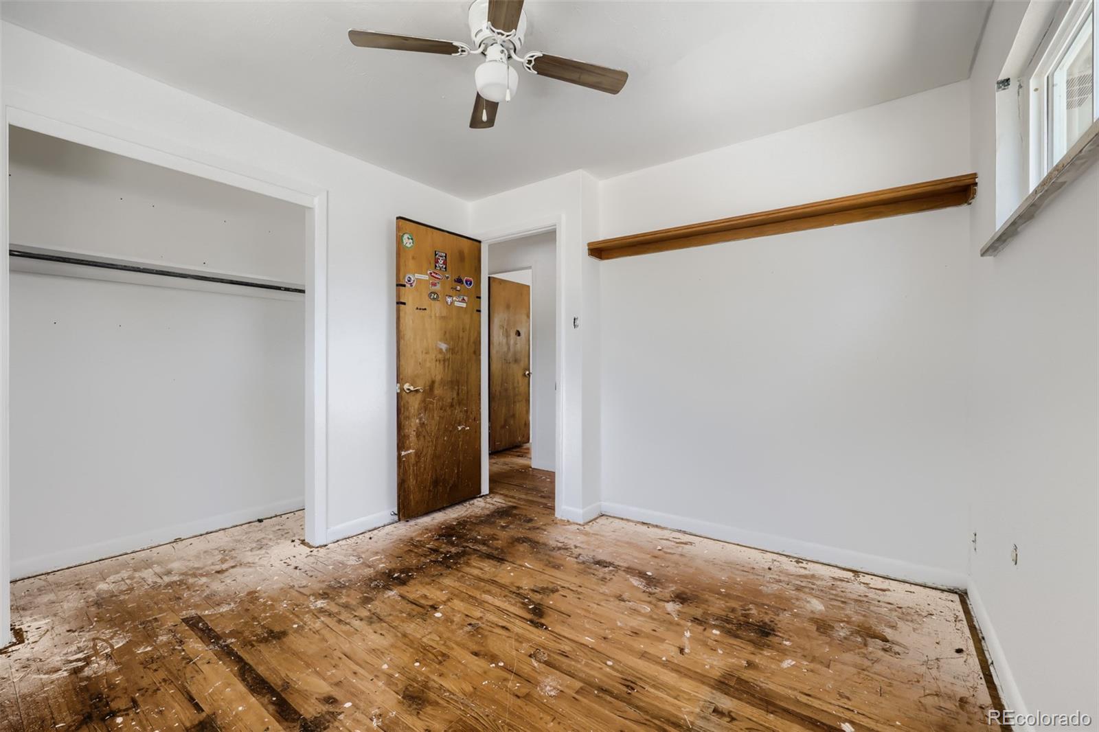 MLS Image #11 for 116  ash avenue,castle rock, Colorado
