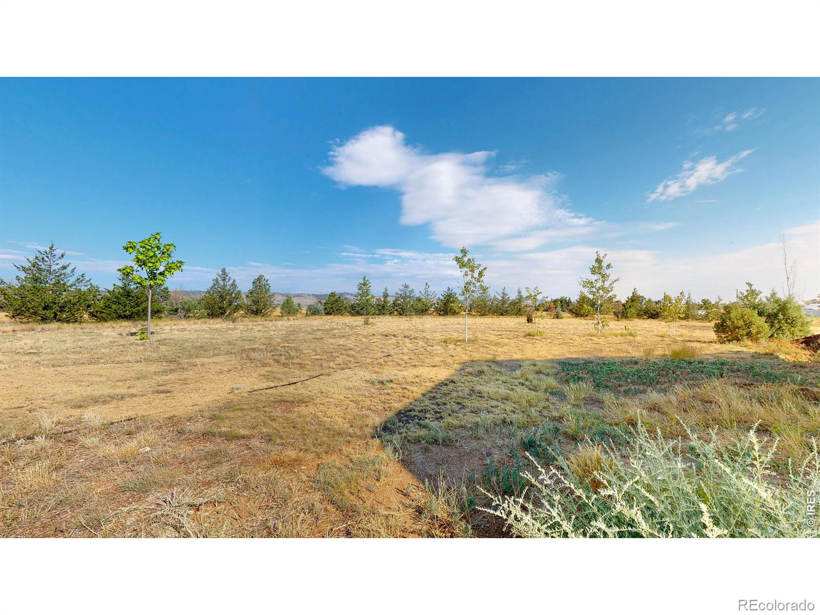 MLS Image #42 for 2425 w blevins street,fort collins, Colorado