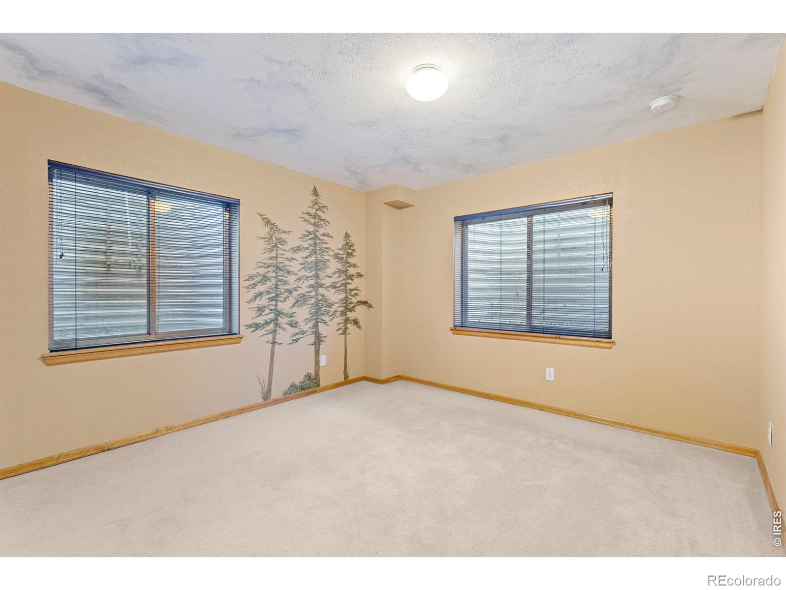 MLS Image #34 for 1630  hemlock way,broomfield, Colorado
