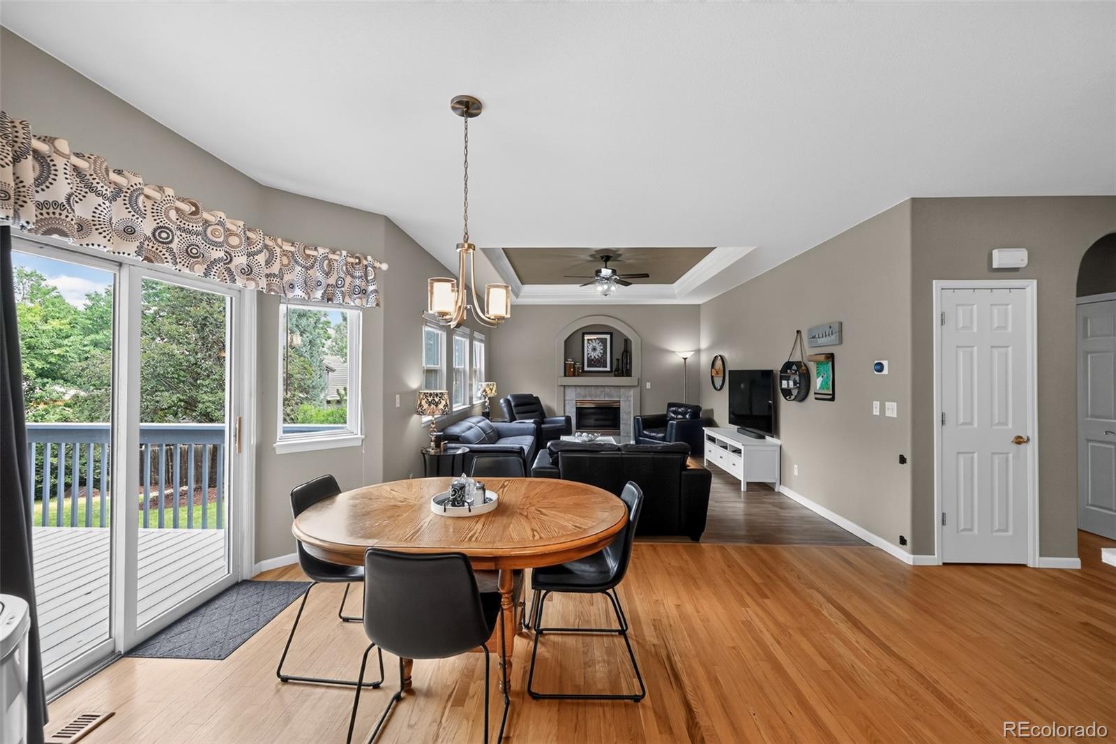 MLS Image #10 for 17403  armel court,parker, Colorado