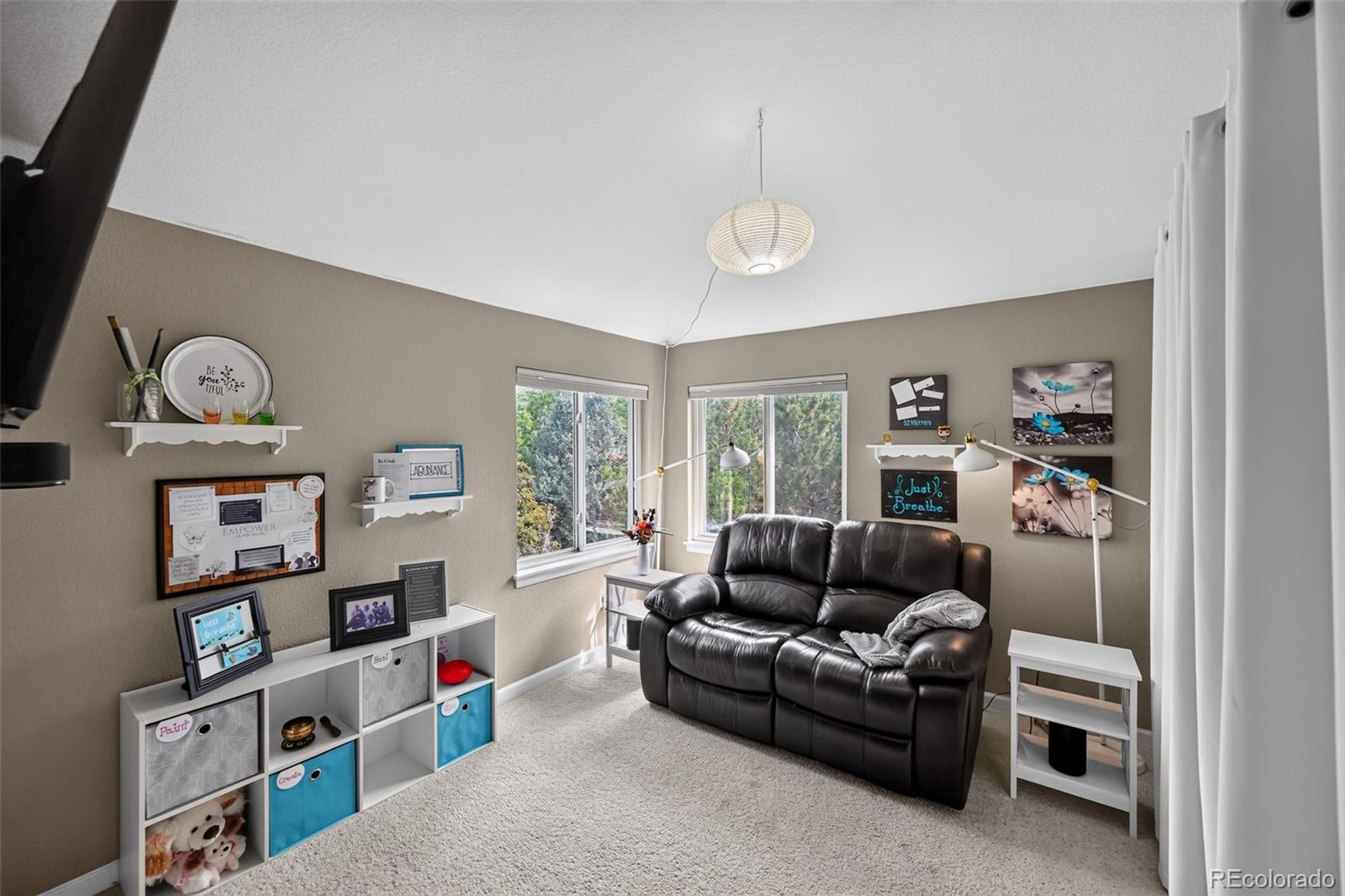 MLS Image #13 for 17403  armel court,parker, Colorado