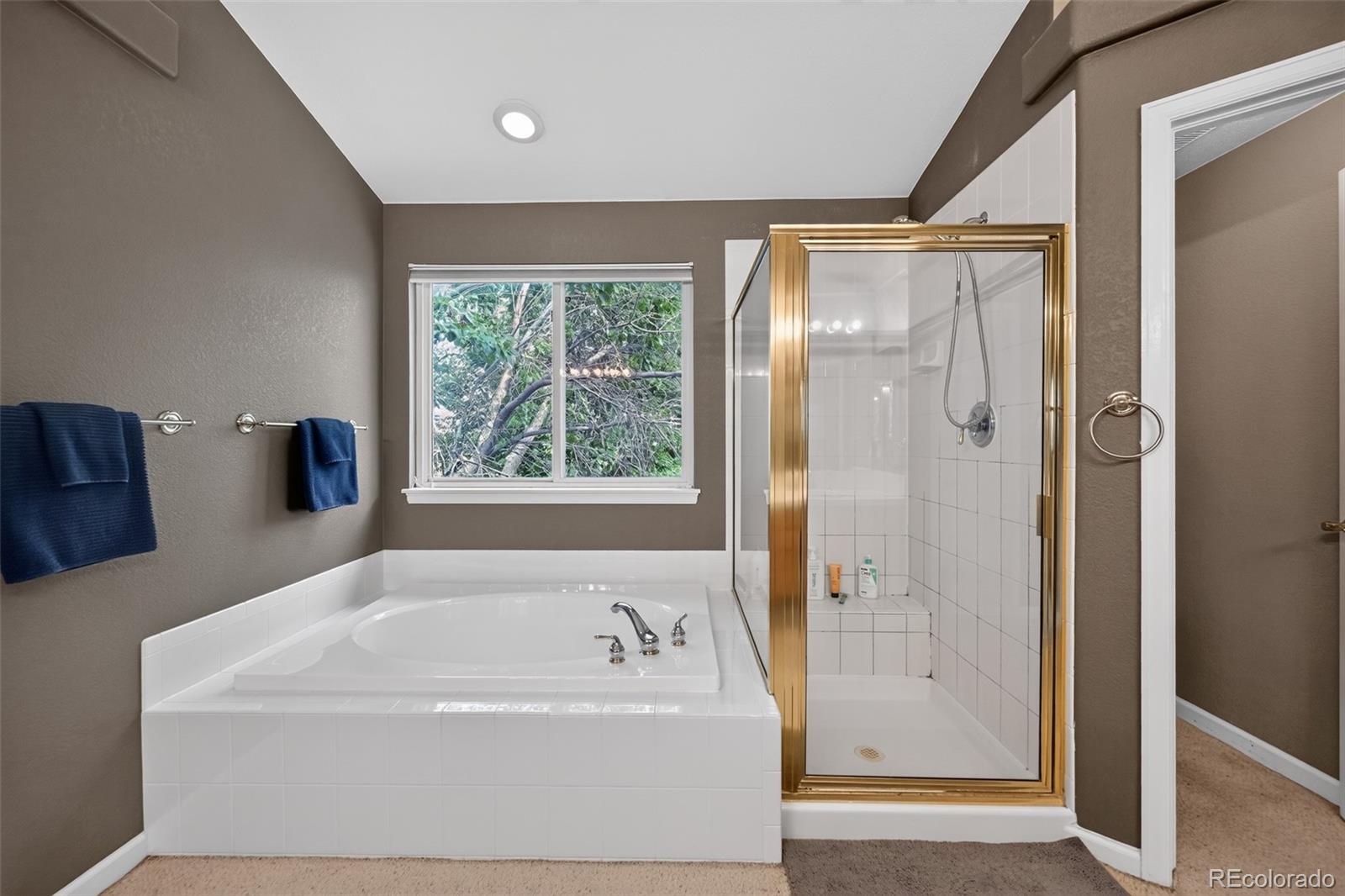 MLS Image #23 for 17403  armel court,parker, Colorado