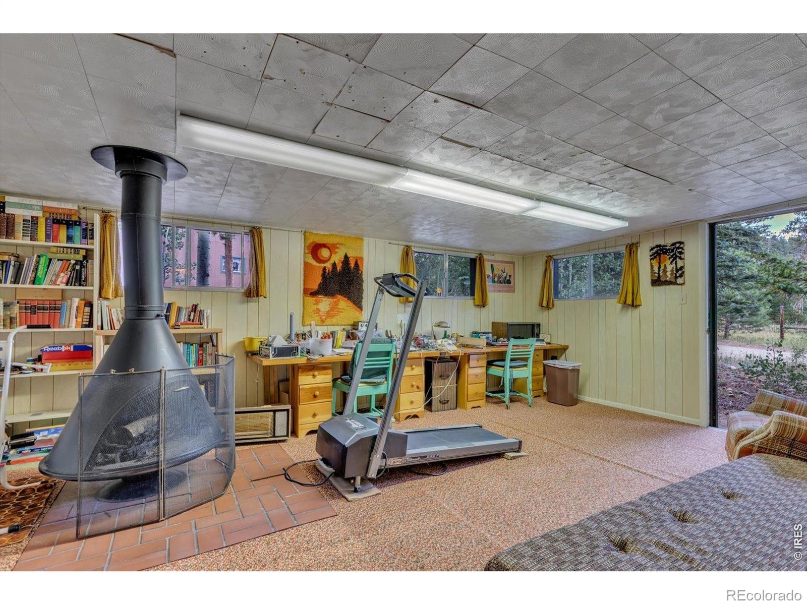 MLS Image #13 for 650 w pine street,nederland, Colorado